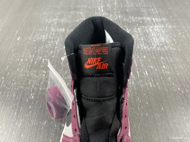 Element Jordan DB2889-500  Berry Gore-Tex 1 High  1130